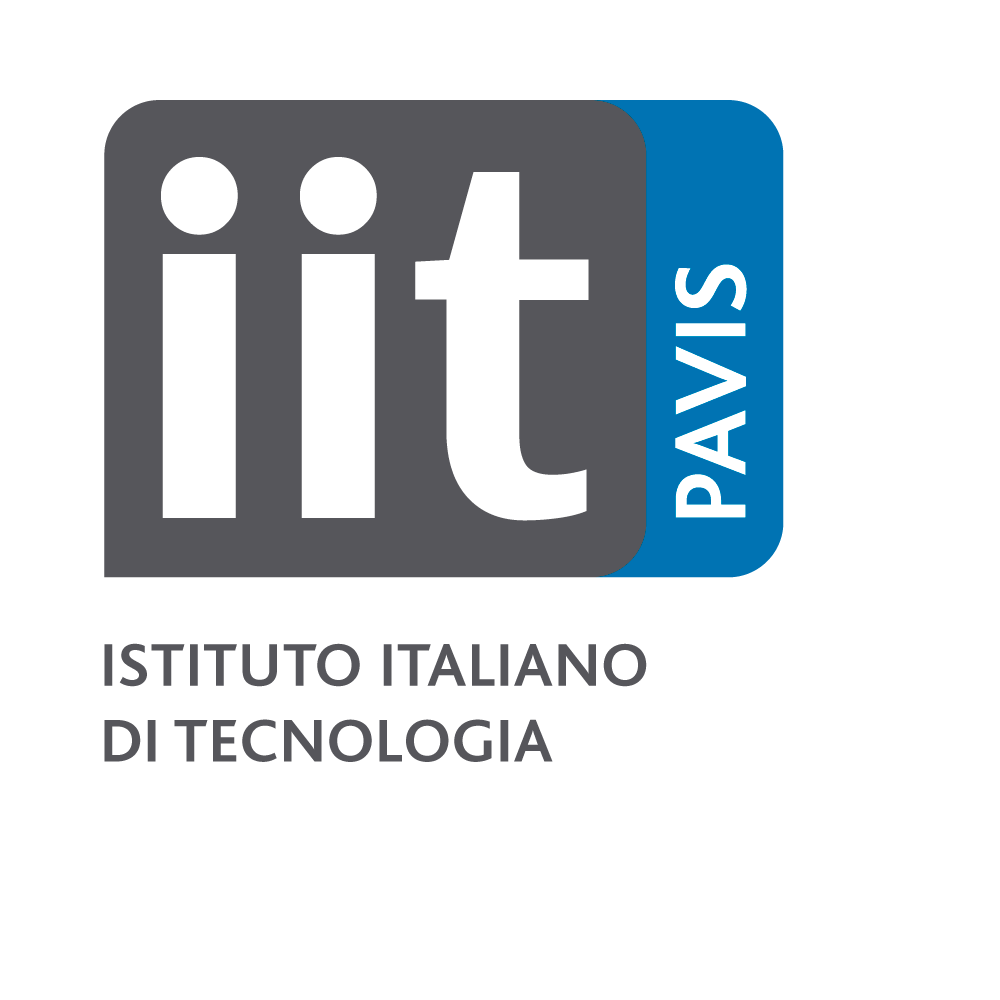 IIT v4 logo pavis t1